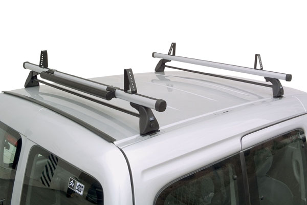 Cruz_kangoo