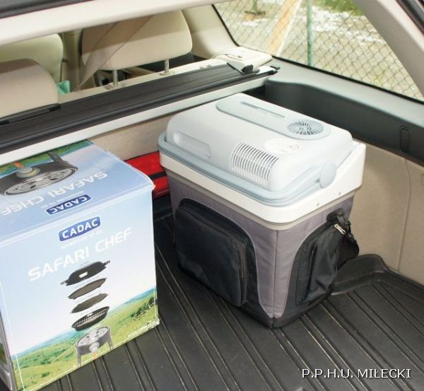 lodowaka elektryczna