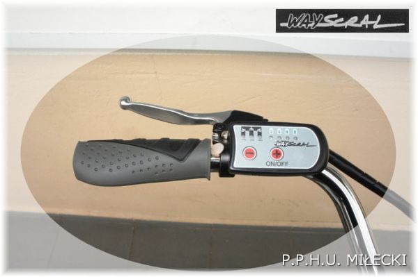 rower elektryczny