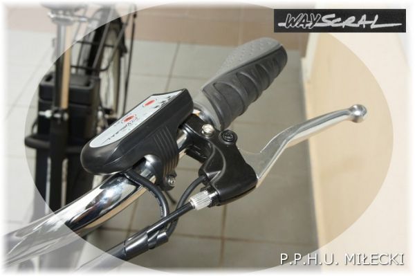 rower elektryczny
